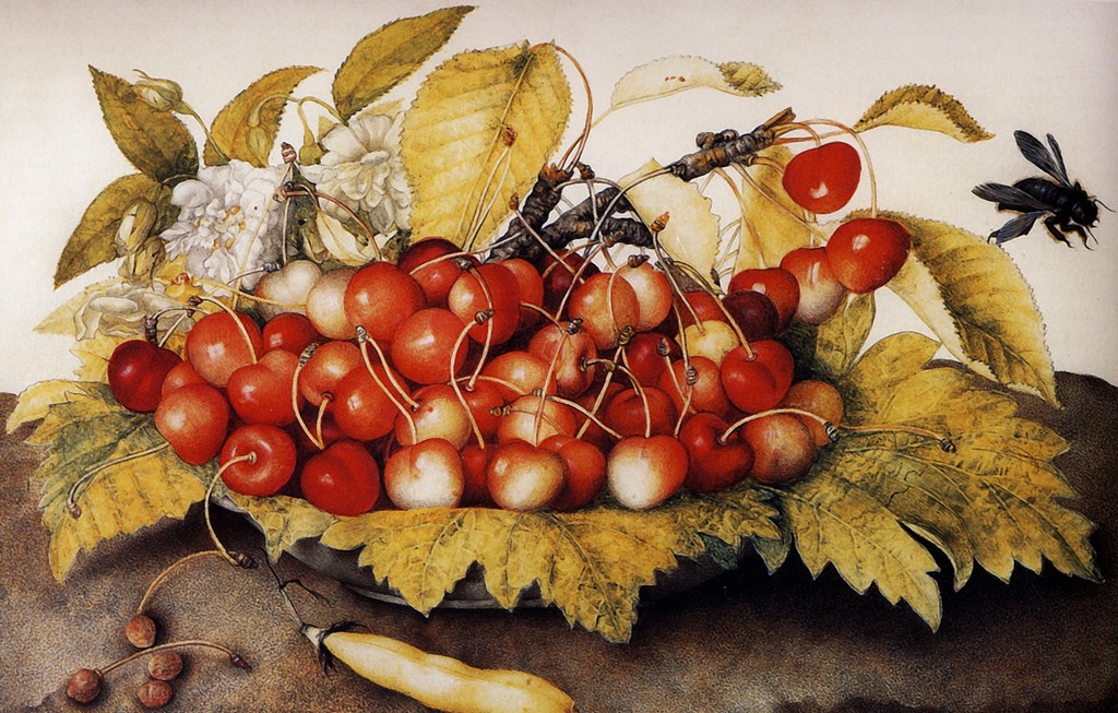 Garzoni Cherries Guest Post 2