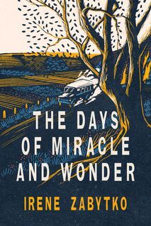 Cover of The Days of Miracle and Wonder